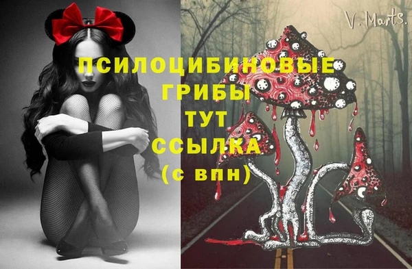 скорость Арсеньев