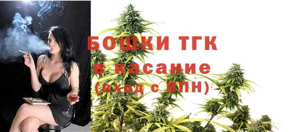 PSILOCYBIN Красноперекопск