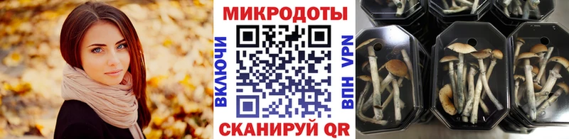 Псилоцибиновые грибы GOLDEN TEACHER  Пласт 